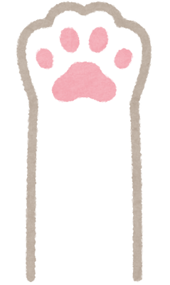 cat_hand_white